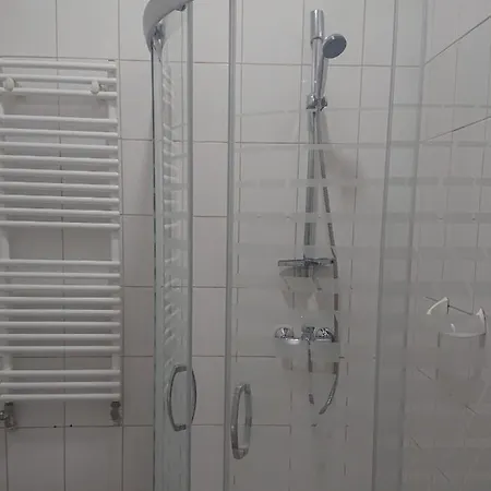 Проживание в семье Dworek Mitro *